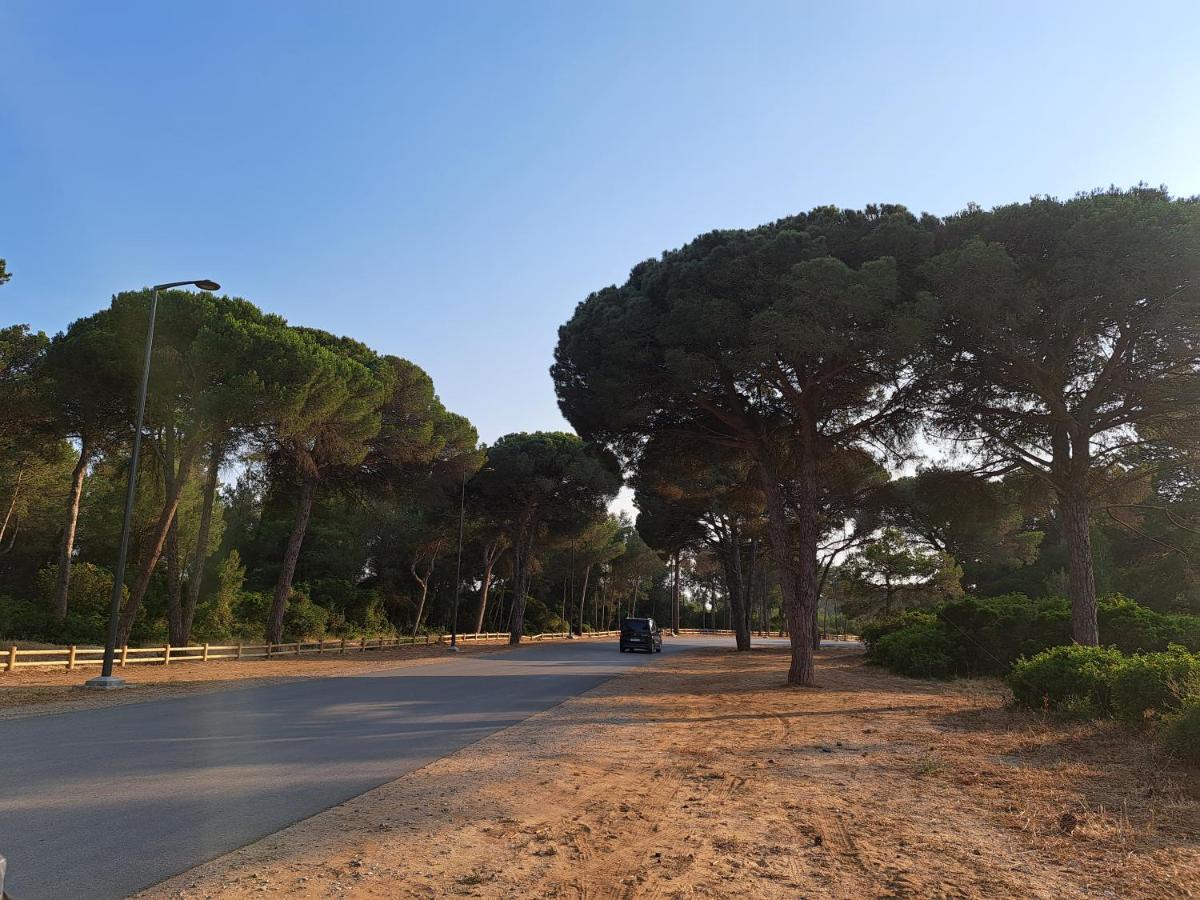 Cosy Appartement A 3Min De La Foret Et 5Min De La Plage Tanger Kültér fotó